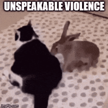 a black and white cat is standing next to a rabbit on a blanket .
