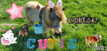 Debbie Pony Cutie Pony GIF - Debbie Pony Cutie Pony Debbie Horse GIFs