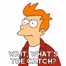 wait whats the catch philip j fry futurama is there a catch whats the downside