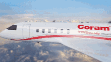 Coram Fly GIF