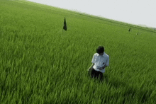 a man in a white shirt is standing in a field of tall grass