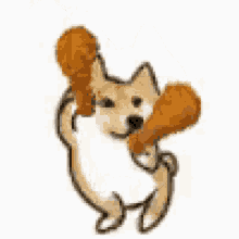 a dog is holding a chicken wing in its mouth .