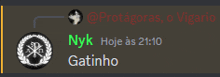 a screenshot of a chat with nyk and gatinho