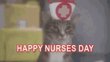 Happy Nurse Day Cat GIF - Happy Nurse Day Cat Nurse GIFs