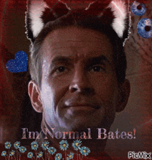 a picture of a man with cat ears and the words " i 'm normal bates "
