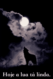 Hoje A Lua Tá Linda, Escuro, Lobo, Noite GIF