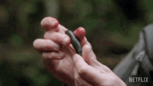 Leech Animals On The Loose A You Vs Wild Movie GIF - Leech Animals On The Loose A You Vs Wild Movie Parasite GIFs
