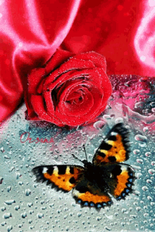Butterfly Red GIF - Butterfly Red Rose GIFs