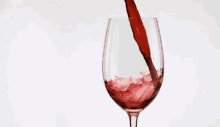 Wine GIF