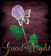Good Night Butterfly GIF - Good Night Butterfly GIFs