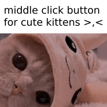 Middle Click For Cute Kittens GIF - Middle Click For Cute Kittens GIFs