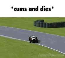 Racecar Meme GIF - Racecar Meme GIFs