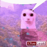 Cat Live Leak Text GIF - Cat Live Leak Cat Live GIFs