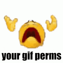 Perm Permission GIF - Perm Permission GIFs