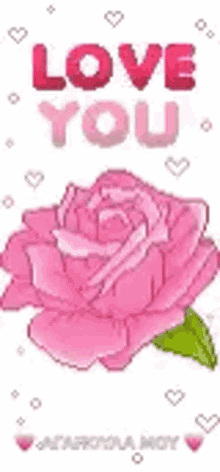 i love you love you flower rose heart