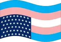 a blue and pink flag with white stars