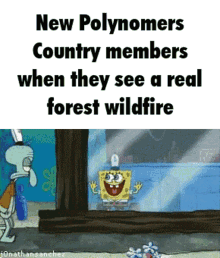 New Polynomers Country Members When They See A Real Forest Wildfire Polygon Donut GIF