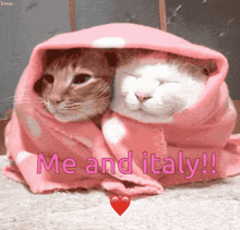 two cats wrapped in a pink blanket with the words me and italy written above them