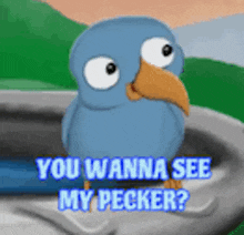 You Wanna See My Pecker Bird Pecker GIF