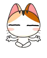 a calico cat is meditating in a lotus position with its eyes closed