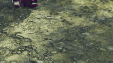 a pair of red shoes standing on a rocky ground