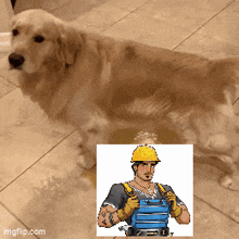 a dog standing next to a picture of a man wearing a hard hat and gloves