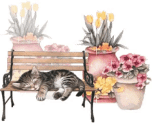 Cat Resting GIF - Cat Resting Bench GIFs