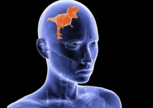an x-ray of a man 's head with a dinosaur in the brain .