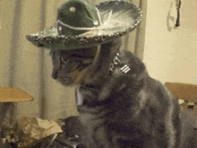 a cat wearing a sombrero and a collar with a fork on it
