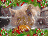 Cat Santa GIF - Cat Santa Cat Feeder GIFs