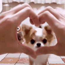 Pet Lover Puppy Love GIF - Pet Lover Puppy Love Couple GIFs