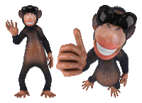 Cool Monkey Sticker - Cool Monkey Stickers