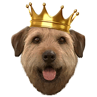 Arthur The King Crown Sticker