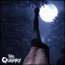 The Quarry Reaction GIF