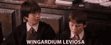 Harry Potter Wingardium Leviosa GIF - Harry Potter Wingardium Leviosa Wizard GIFs