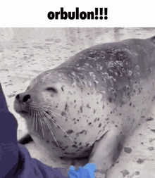 Orbulon Yes Fly Bitches Only GIF - Orbulon Yes Fly Bitches Only Apex Legends Orbulon GIFs