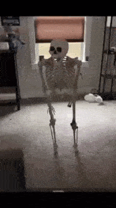 Skeleton Meme Skeleton GIF - Skeleton Meme Skeleton Skeleton Meme GIFs