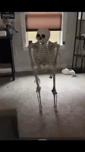 skeleton-meme-skeleton.gif