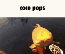 Coco Pops Funny GIF