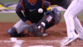Tampa Bay Rays Isaac Paredes GIF