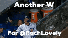 Rach Lovely Rachel Lovely GIF - Rach Lovely Rachel Lovely Cubs GIFs
