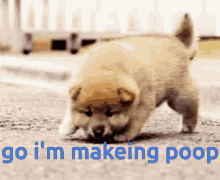 bye bye dog puppy cute making poop