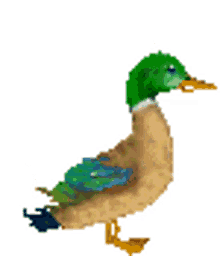 duck bird pixel animal pet