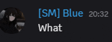 a screenshot of a text message between someone named sm blue and someone named what