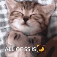 Ss All Of Ss GIF - Ss All Of Ss All Of Ss Is GIFs