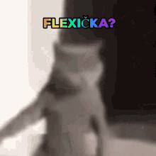 Flexicka GIF - Flexicka GIFs