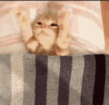 Tired Bedtime GIF