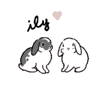 kiss i love you ily bunny