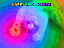 Pride Month Cat GIF - Pride Month Cat GIFs