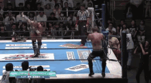 ospreay ricochet njpq ospreay ricochet njpq